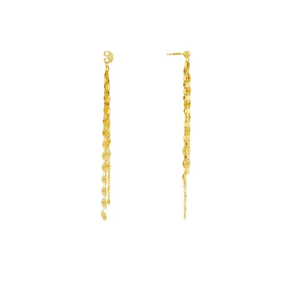Front and Back Hammered ForzentiN/A Earrings