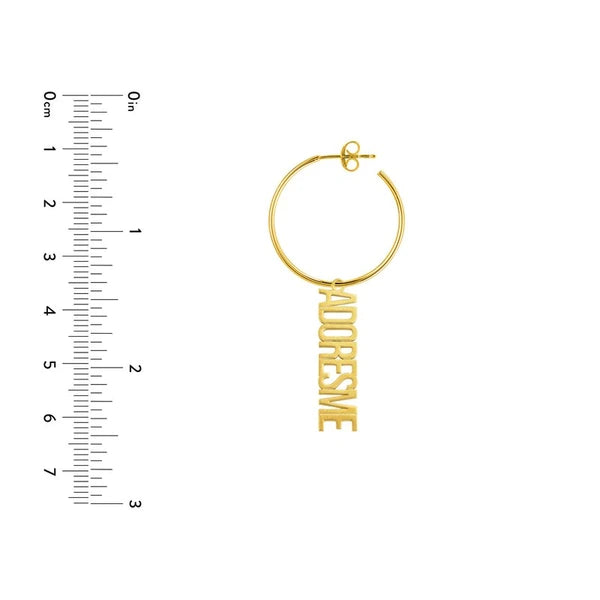 PersoN/Alization Vertical N/Ameplate Hoop Earrings