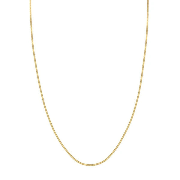 1.6mm SN/Ake Chain with Lobster Lock