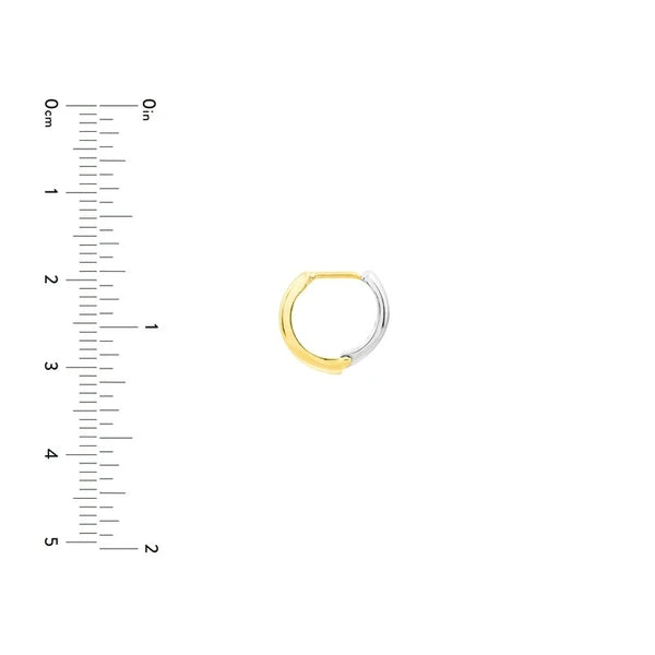 Two Tone Hoop Earrings