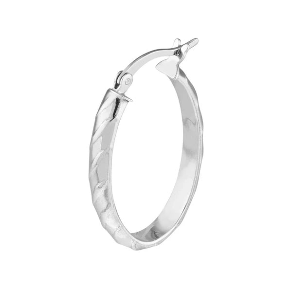 Semi-Twisted Oval Hoop Earrings