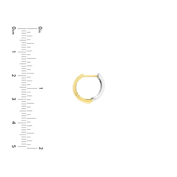 Two Tone Reversible Hoop Earrings