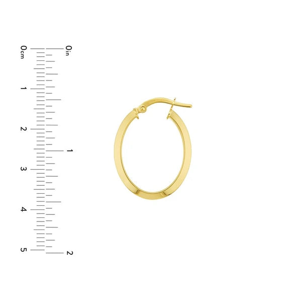 Oval Sparkle Hoop Earrings