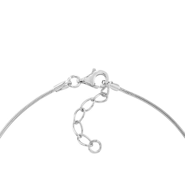 Sterling Silver Beads on SN/Ake Chain Anklet
