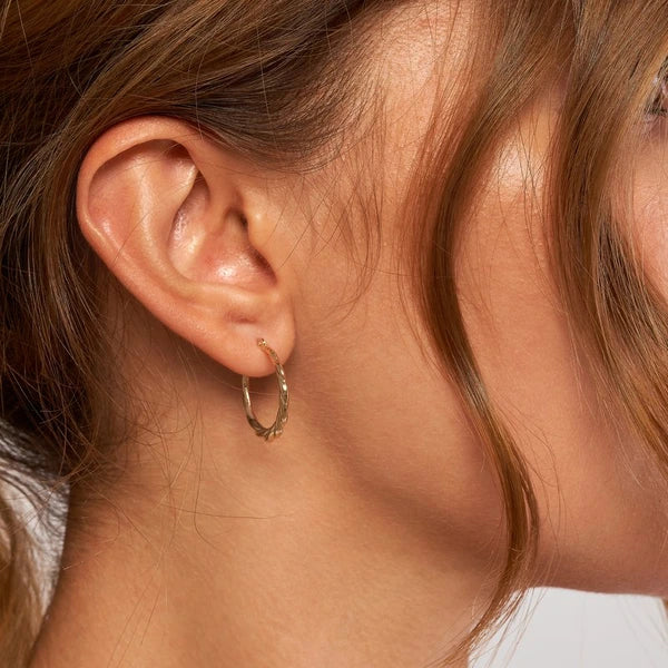 Twisted Hoop Earrings