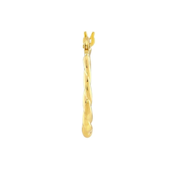 Twisted Hoop Earrings