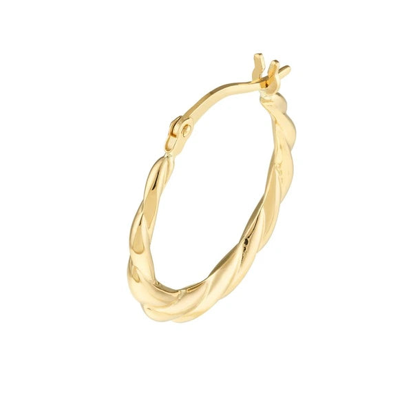 Twisted Hoop Earrings