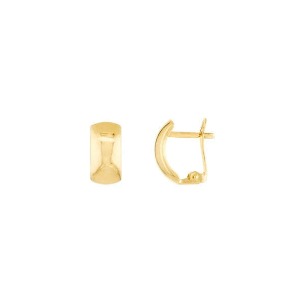 Polished Curve Earrings on Leverback