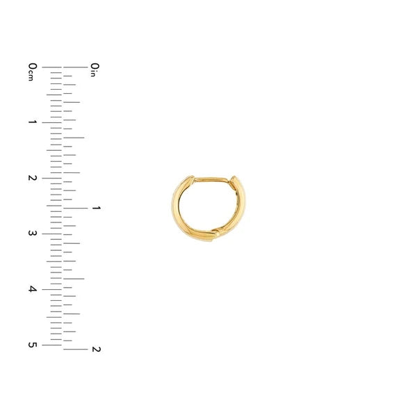 Two Tone DC Hoop Earrings