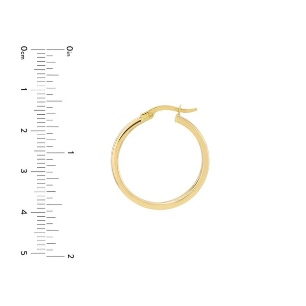 Large White EN/Amel Round Hoops