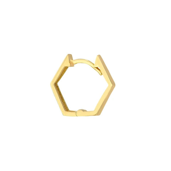 Pentagon Shaped Hoop Earrings