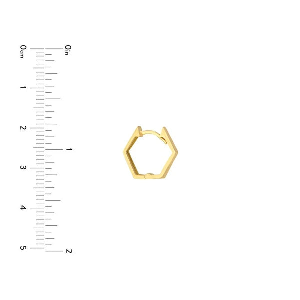 Pentagon Shaped Hoop Earrings