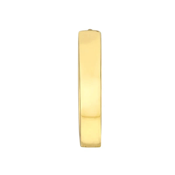 Flat Oval Hoop Earrings
