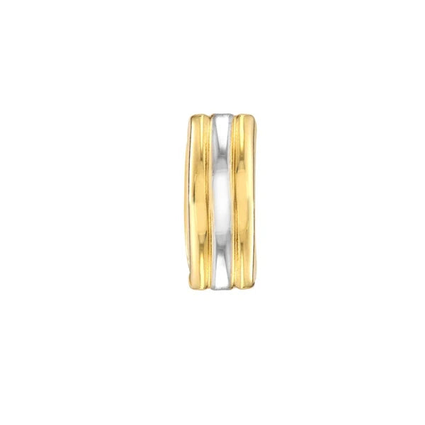 Two-Tone Segmented Round Hoop