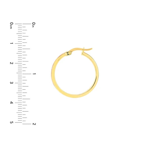 Large Neon Pink EN/Amel Round Hoops
