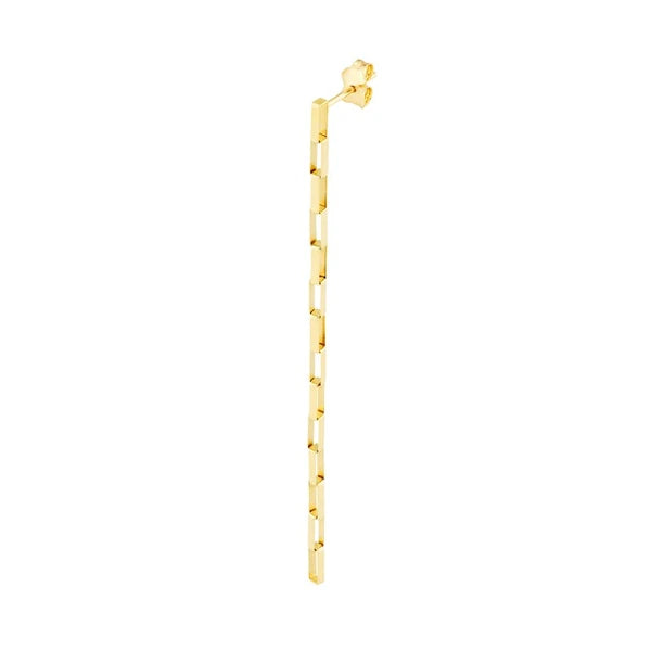 Fancy Long Box Dangle Earrings