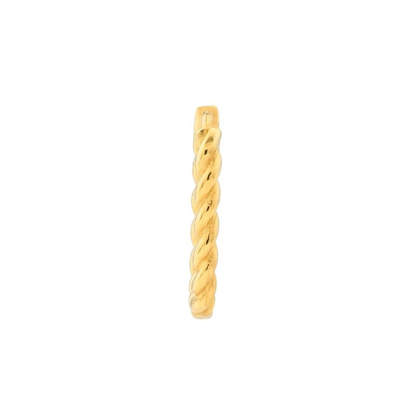Oval Twist Hoop Earrings