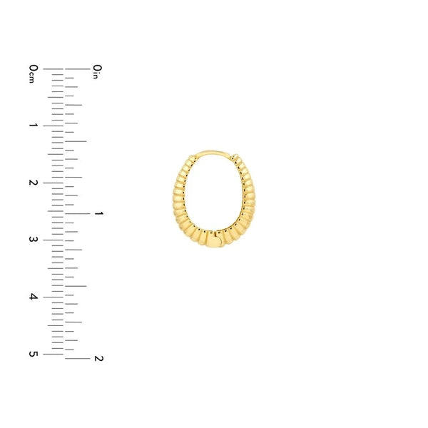 Graduated Shrimp Oval Hoop Earrings
