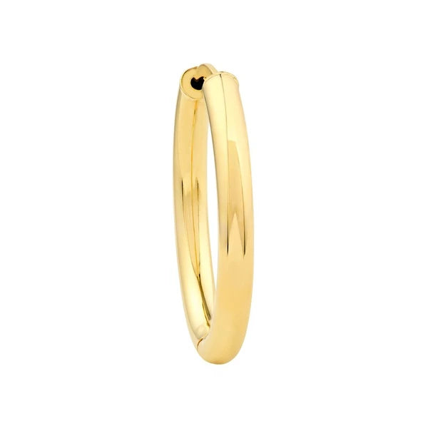 20x15mm Oval Hoop Earrings