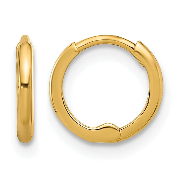 Gold Hinged Hoop Earrings