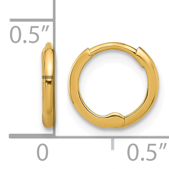 Gold Hinged Hoop Earrings