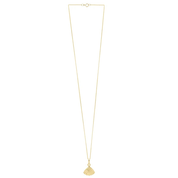 10K Sea Shell Necklace
